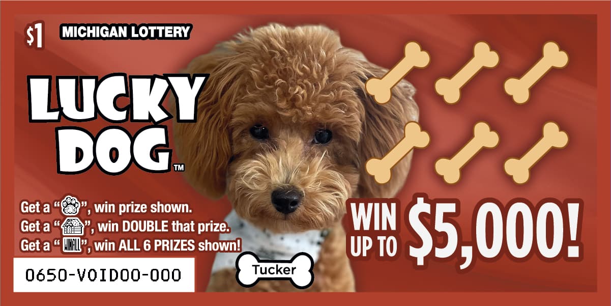 LUCKY DOG