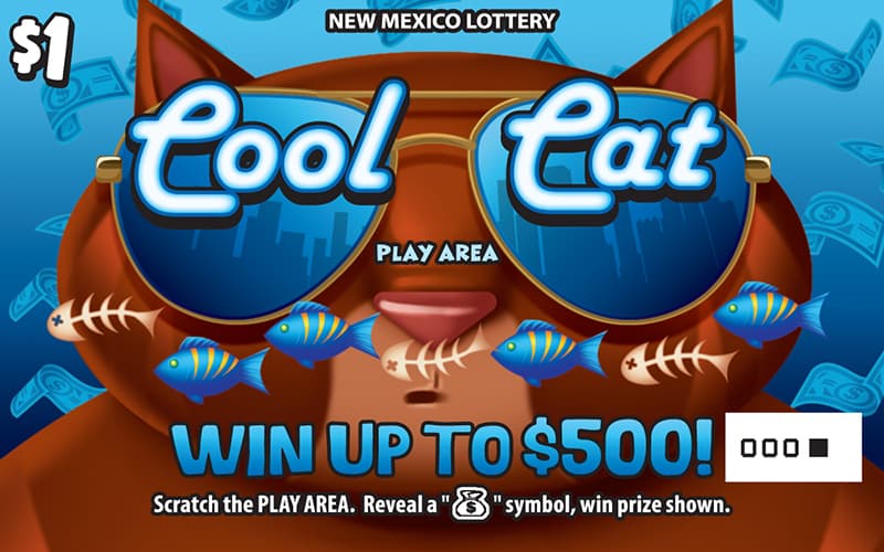 Cool Cat