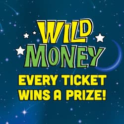 WILD MONEY