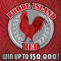RHODE ISLAND RED