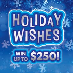 HOLIDAY WISHES
