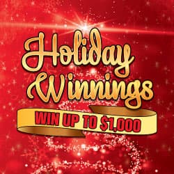 HOLIDAY WINNINGS