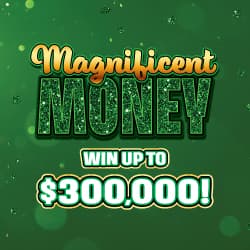 MAGNIFICENT MONEY