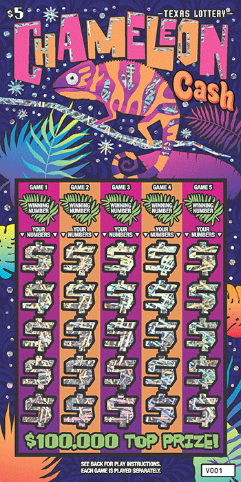 Chameleon Cash